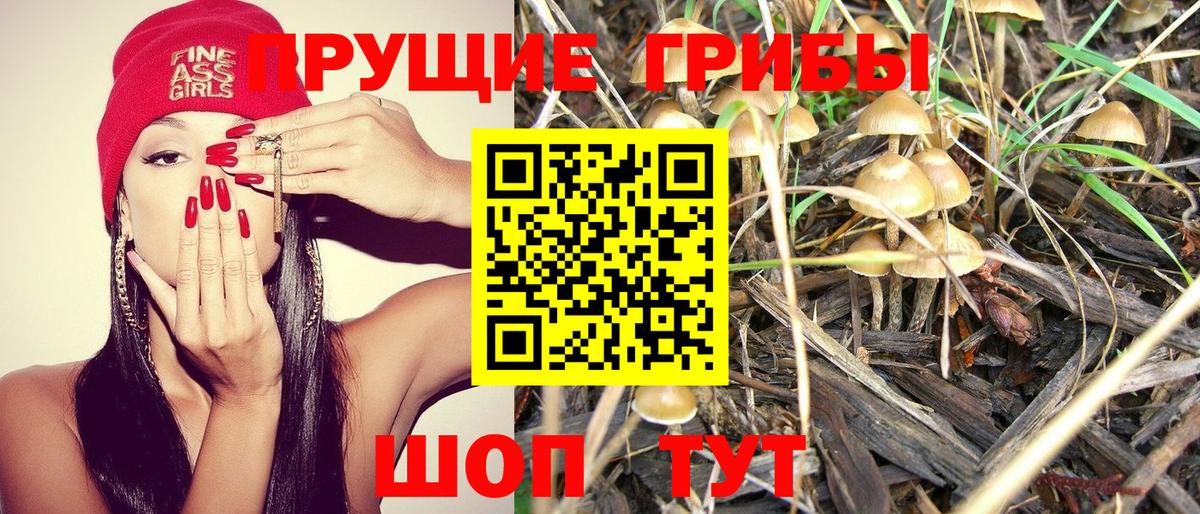 Псилоцибиновые грибы Magic Shrooms  Вход с VPN  Псилоцибиновые грибы MAGIC MUSHROOMS  Сочи 