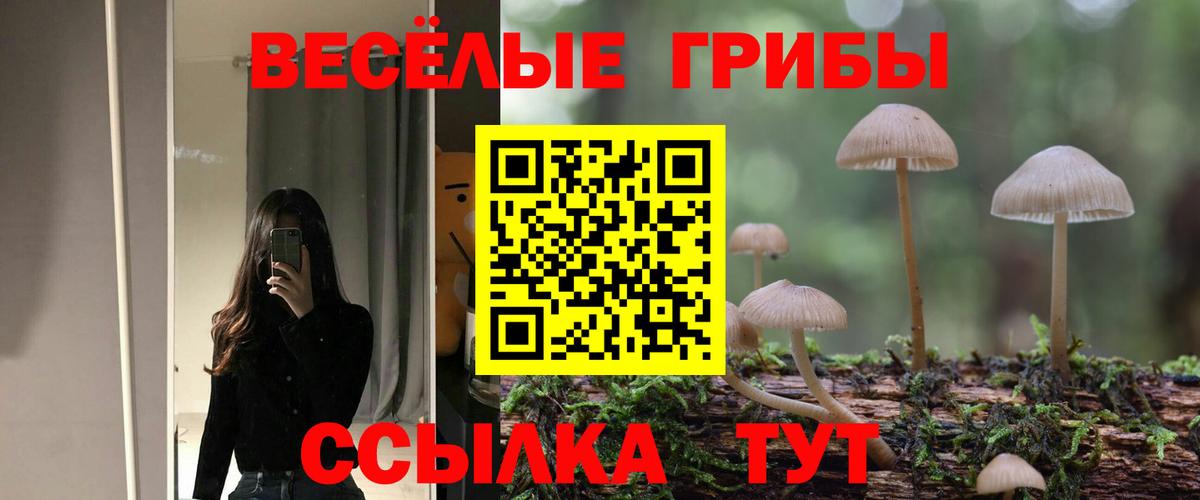 Псилоцибиновые грибы GOLDEN TEACHER Сочи